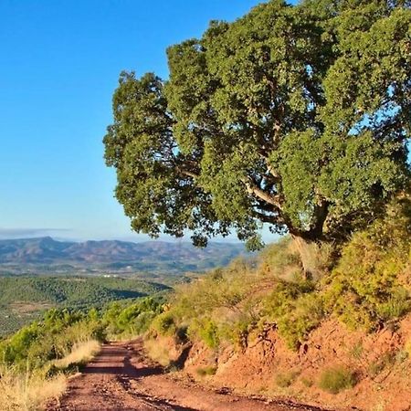 Апартаменти Piso Sierra Calderona A 15 Minutos Del Mar Estivella Екстер'єр фото